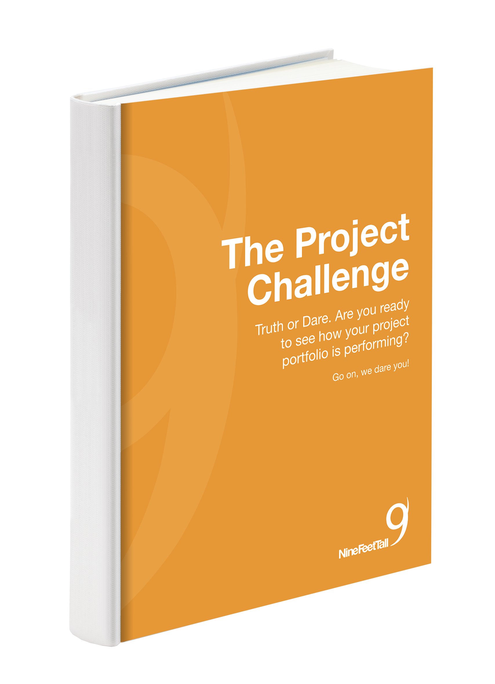 project challenge yourself 1.3 assignment