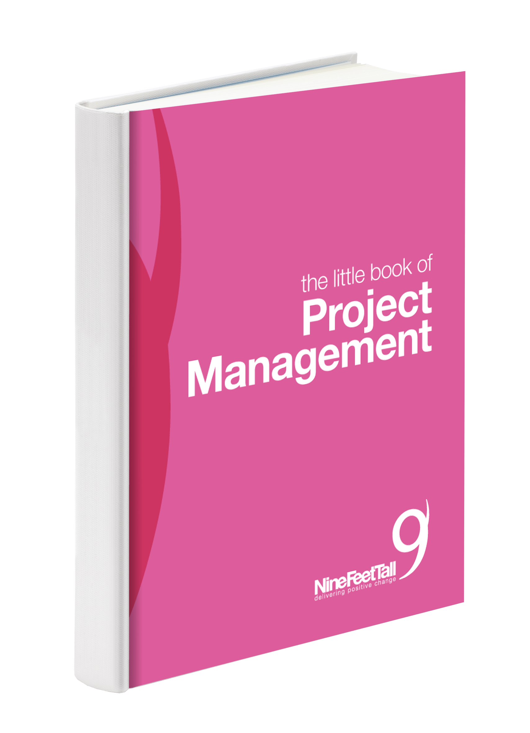 Little book of project management