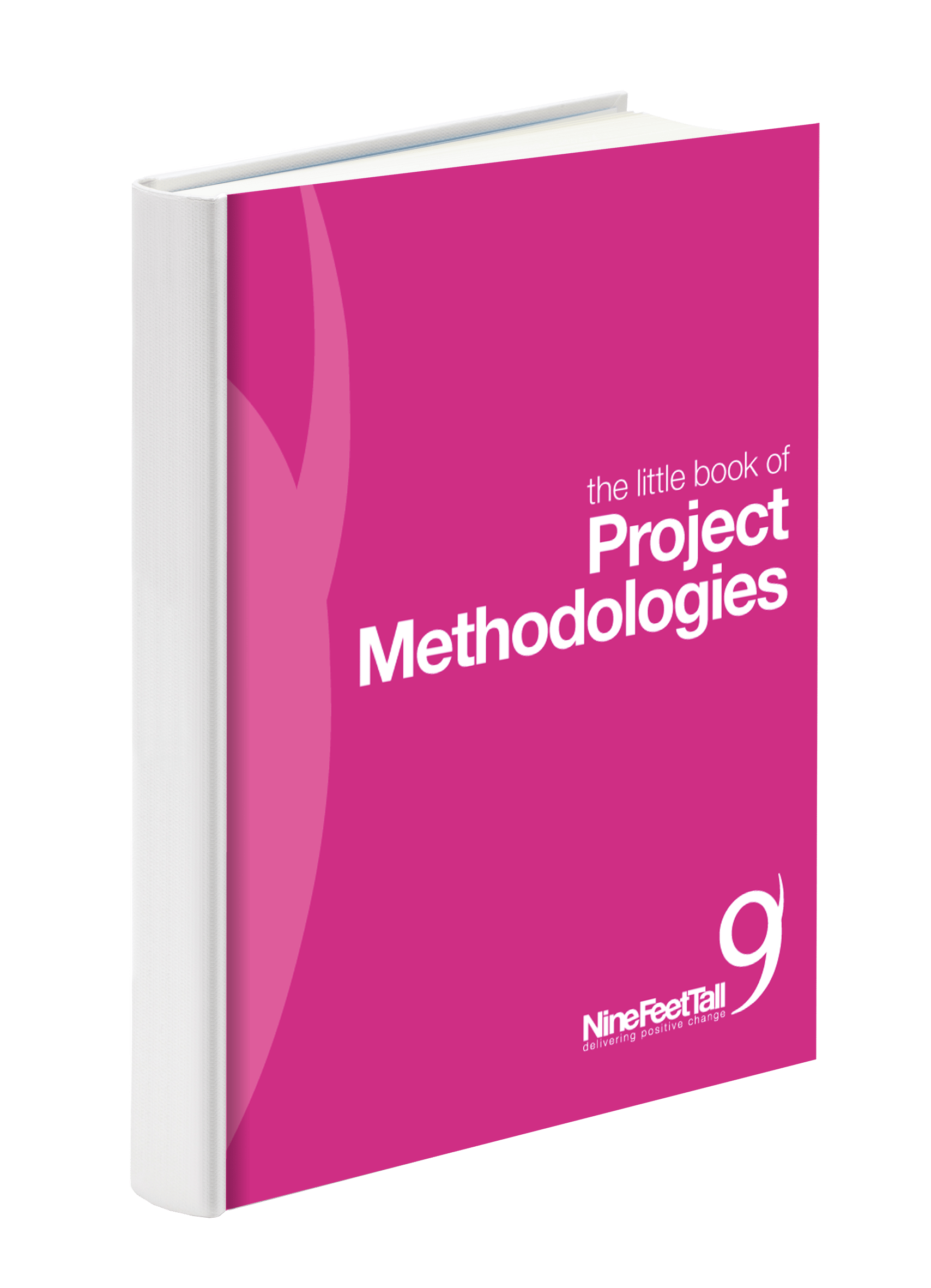 Little book of Project Methodologies